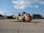 20090618210828_ftpj_4.jpg
